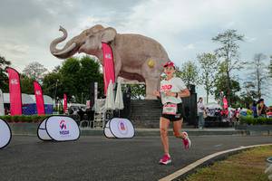 BIB: 
                            <button type="button" onclick="openModal(26528511)" class="btn btn-primary btn-sm float-right btn-popup" data-toggle="modal" data-target=".modal-high-quality">
                        <i class="fas fa-shopping-cart"></i> Add to Cart
                    </button>
                                            <button type="button" onclick="isThisMe(26528511, true)" class="btn btn-success btn-sm float-right btn-popup btn-isme hidden" data-toggle="tooltip" data-placement="bottom" title="นี่คือรูปของคุณใช่ไหม คลิกที่นี่เพื่อเอาเข้าอัลบั้ม">
                        <i class="fas fa-plus"></i> Add to album
                    </button>
                    <button type="button" onclick="isThisMe(26528511, false)" class="btn btn-warning btn-sm float-right btn-popup btn-isnotme hidden">
                        <i class="fas fa-ban"></i> Remove from album
                    </button>